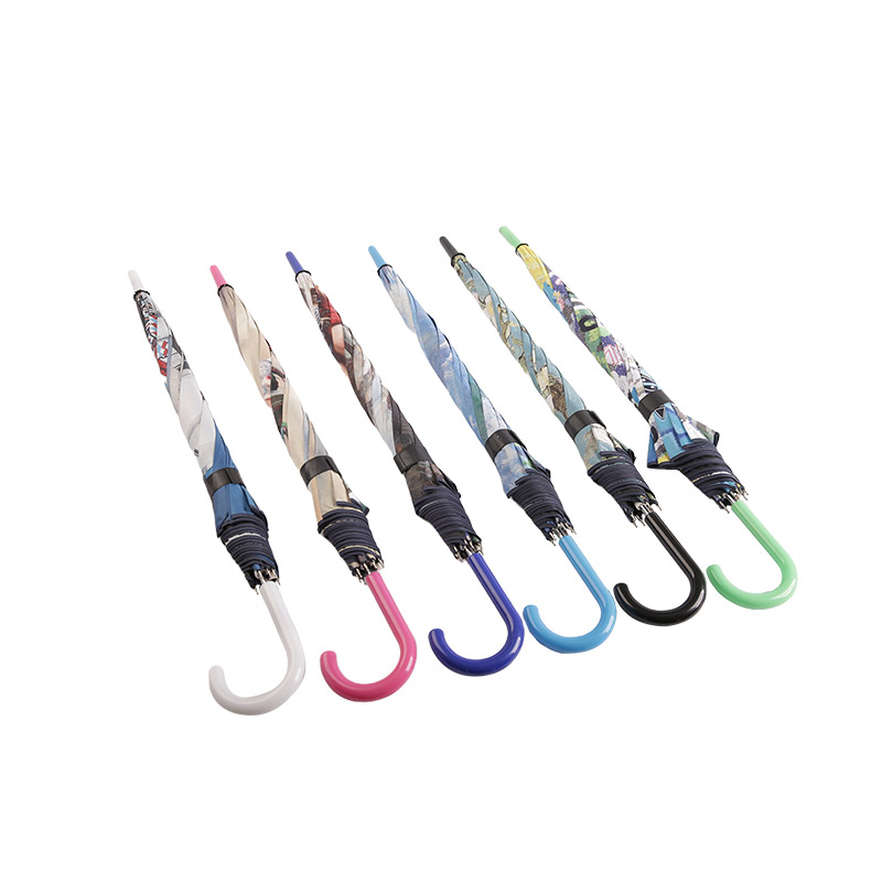 چاپ نقاشی منظره پونج با پوشش مشکی چتر مستقیم-0E6B0080