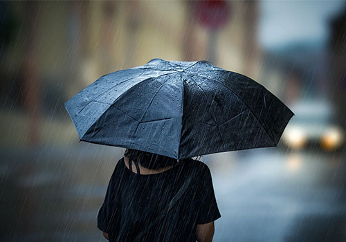 شیوع کوچک در صنعت چتر: ثبت نام در سال گذشته 139 درصد افزایش یافته است.